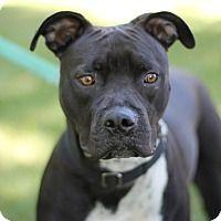 Profile Picture of Peter Metzger (@cephas410) on Twitter