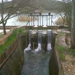 Profile Picture of Julia Chaparro (@juliayamparo) on Instagram