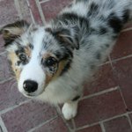 Profile Picture of Kimberly Popoff Fuiks (@kfuiks) on Instagram