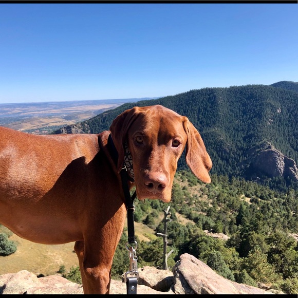 Profile Picture of Casey Crannell (@caseysnowco55) on Poshmark