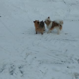 Profile Picture of jean fothergill (@jean_fothergill) on Instagram