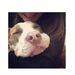 Profile Picture of Rocio Solano (@rociosolur) on Pinterest