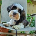 Profile Picture of Ginger Schuerger-Davison (@gingersd75) on Instagram