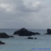 Profile Picture of Sharon Parrish-Andrews (@sharonparrish-andrews3318) on Youtube