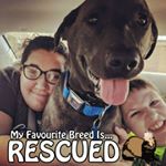 Profile Picture of Sandra McLean Benson (@sandra__benson) on Instagram