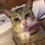 Profile Picture of Johann Fernando (@johannsf) on Instagram