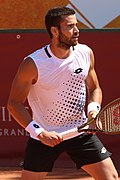 Profile Picture of Andrea Pellegrino - Wikipediaon Wikipedia