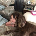 Profile Picture of Brian Kephart (@brian.kephart) on Instagram