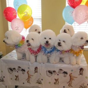 Profile Picture of brian grajek (@BrianGrajek) on Twitter