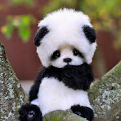 Profile Picture of Phoebe Parker (@phoebeparker131) on Youtube