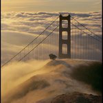 Profile Picture of David Sanger Photography (@davidsanger) on Instagram
