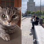 Profile Picture of Ian Cork (@icork03) on Instagram