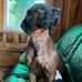 Profile Picture of Daniel Linhart (@daniel.linhart.311) on Facebook