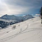 Profile Picture of Gerald Gaillard (@matenzlou) on Instagram