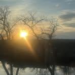 Profile Picture of Janet Patrizio (@Janet-Patrizio) on Facebook