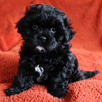 Profile Picture of Gary J. Hillard (@GaryJames1948) on Twitter