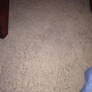 Profile Picture of Maxine (@maxinemartin) on Myspace