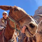 Profile Picture of Amber Jeffries (@ajeffries77) on Instagram