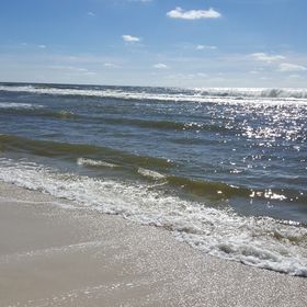 Profile Picture of Tammy Phillips (@tmphillips1027) on Pinterest