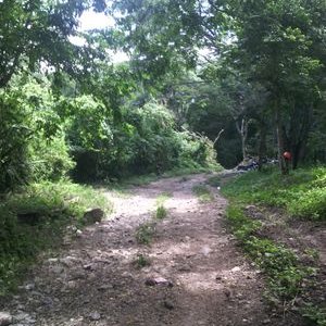 Profile Picture of HEIBER DAVID ARIAS C (@AriasHeiber) on Twitter