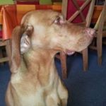 Profile Picture of Casey Pyle (@pylecasey) on Instagram