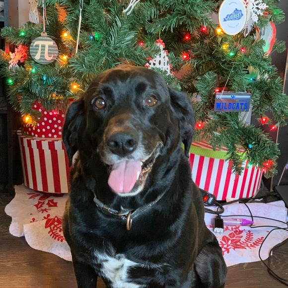 Profile Picture of Kellie Ranney (@kellieran) on Poshmark