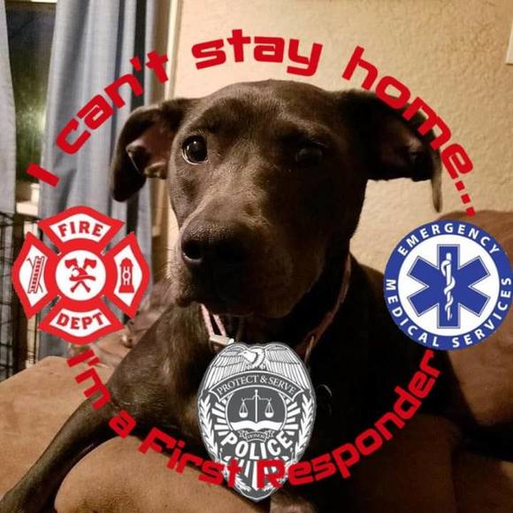 Michael Blase - Poshmark Profile Picture of Michael Blase (@lfdfireman67) on Poshmark