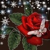 Profile Picture of Lynn Gibbs (@@lynngibbs0) on Tiktok
