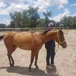 Profile Picture of Joshua Salinas (@joshua.salinas.9847) on Instagram