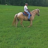 Profile Picture of David Wasniewski (@david-wasniewski) on Quora