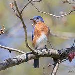 Profile Picture of John Wagner (@@roundrunnerjohn) on Flickr