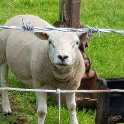 Profile Picture of Andrew Old (@oldandrewuk) on Twitter