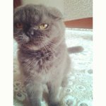 Profile Picture of Richard Funchess (@hartswmursound) on Instagram