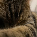 Profile Picture of Julia Dolińska (@Julia-Dolińska) on Facebook