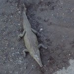 Profile Picture of John Garfield (@farmer_john151) on Instagram