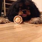 Profile Picture of Hilary Wilson (@nuttyhils) on Instagram