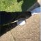 Profile Picture of Terrance Moorer (@terrance.moorer.10) on Facebook