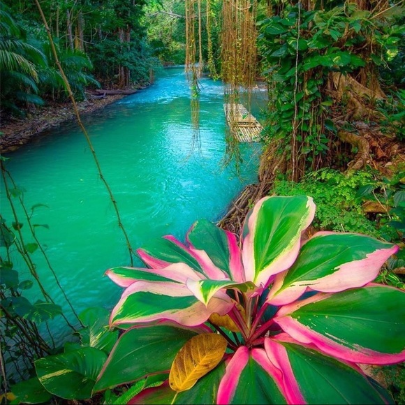 Profile Picture of Petergay Bagaloo (@petergayj) on Poshmark