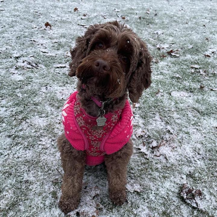 Profile Picture of Toby (@t.obymann) on Tiktok
