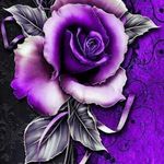 Profile Picture of Lori Falkenberg (@falkenberglori) on Instagram