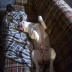 Richard Harvey - Facebook Profile Picture of Richard Harvey (@Richard-Harvey) on Facebook