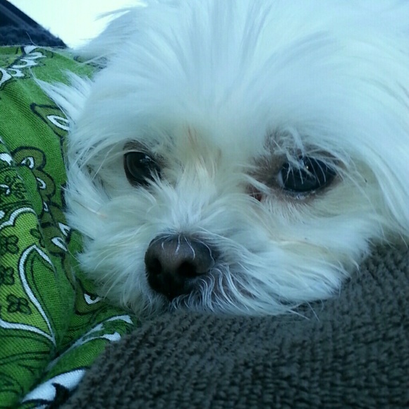 Profile Picture of Joan Fretwell (@joan8598) on Poshmark