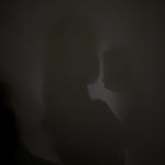 Profile Picture of 𝓟𝓱𝓸𝓮𝓫𝓮 𝓝𝓰 (@ntphuongw_) on Instagram