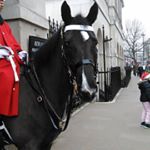 Profile Picture of Alison Carson (@alison.479) on Instagram