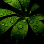 Profile Picture of Naureen Mushtaq (@naureen.mushtaq.7) on Facebook