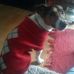 Profile Picture of Karl Jakob (@karl.jakob.376) on Facebook