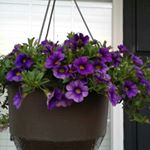 Profile Picture of Norma Lowe (@njlowe56) on Instagram