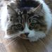 Profile Picture of Lucille Lemieux (@Lucille-Lemieux) on Facebook
