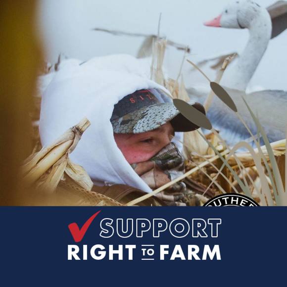 Profile Picture of Jonathan Meadows (@jonathanmead806) on Poshmark