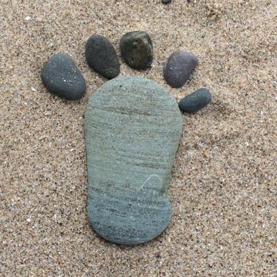 Profile Picture of Janet (@Janetseddon97) on Twitter